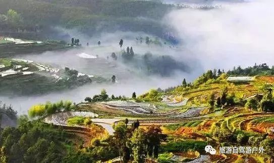 绍兴到西塘旅游攻略-绍兴到西塘开车要多久(图29) 绍兴去西塘怎么坐高铁_绍兴到西塘旅游攻略_绍兴到西塘开车要多久