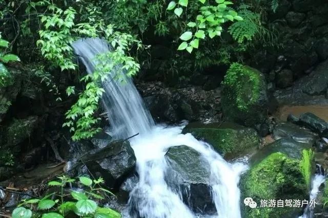 绍兴到西塘旅游攻略-绍兴到西塘开车要多久(图35) 绍兴到西塘旅游攻略_绍兴去西塘怎么坐高铁_绍兴到西塘开车要多久