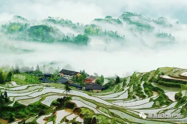绍兴到西塘旅游攻略-绍兴到西塘开车要多久(图44) 绍兴到西塘旅游攻略_绍兴去西塘怎么坐高铁_绍兴到西塘开车要多久