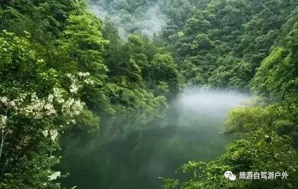 绍兴到西塘旅游攻略-绍兴到西塘开车要多久(图84) 绍兴去西塘怎么坐高铁_绍兴到西塘旅游攻略_绍兴到西塘开车要多久