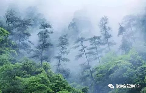 绍兴到西塘旅游攻略-绍兴到西塘开车要多久(图85) 绍兴到西塘开车要多久_绍兴去西塘怎么坐高铁_绍兴到西塘旅游攻略