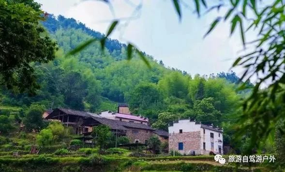 绍兴到西塘旅游攻略-绍兴到西塘开车要多久(图89) 绍兴到西塘开车要多久_绍兴到西塘旅游攻略_绍兴去西塘怎么坐高铁