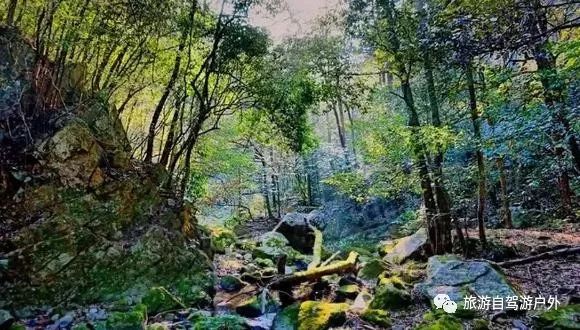 绍兴到西塘旅游攻略-绍兴到西塘开车要多久(图94) 绍兴去西塘怎么坐高铁_绍兴到西塘开车要多久_绍兴到西塘旅游攻略