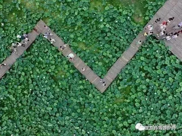 绍兴到西塘旅游攻略-绍兴到西塘开车要多久(图98) 绍兴到西塘开车要多久_绍兴去西塘怎么坐高铁_绍兴到西塘旅游攻略