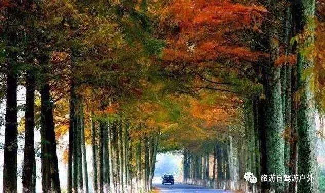 绍兴到西塘旅游攻略-绍兴到西塘开车要多久(图99) 绍兴到西塘旅游攻略_绍兴到西塘开车要多久_绍兴去西塘怎么坐高铁