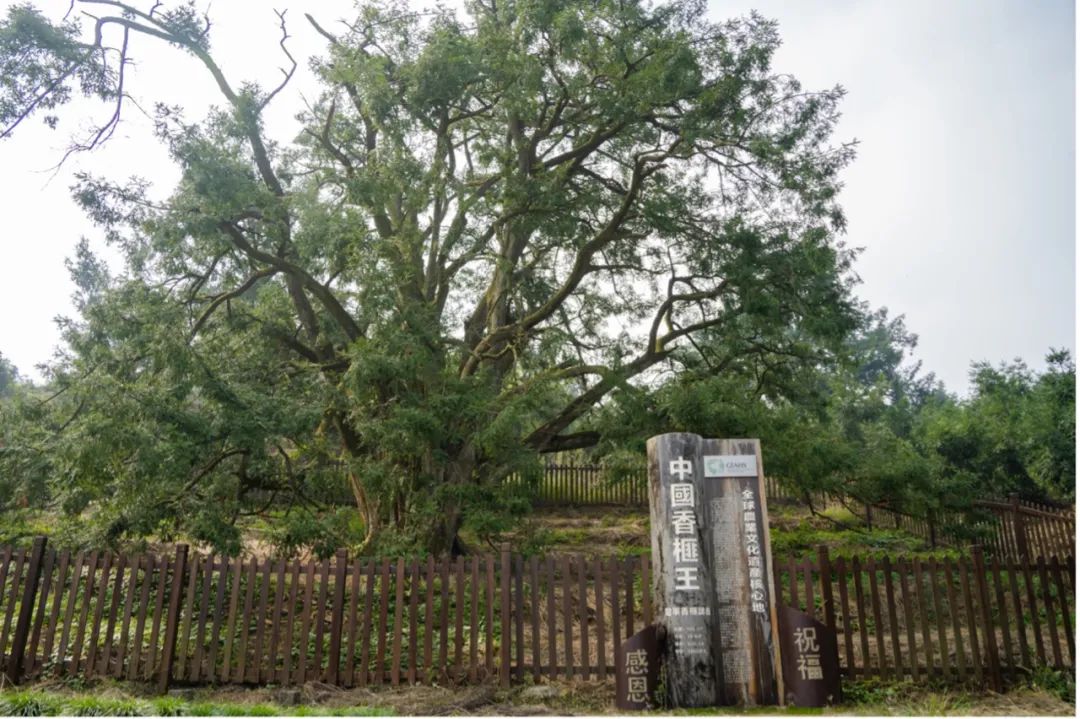 绍兴到西塘旅游攻略-绍兴去西塘古镇怎么走(图58) 绍兴去西塘坐什么去最方便_绍兴去西塘古镇怎么走_绍兴到西塘旅游攻略