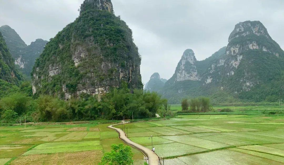 漓江涠洲岛旅游攻略-漓江小岛(图47) 漓江小岛_漓江涠洲岛旅游攻略_漓江岛在哪