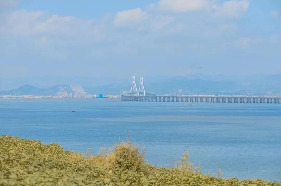 鹿西岛旅游攻略-鹿西岛自驾游(图3) 鹿西岛旅游攻略_鹿西岛游记_鹿西岛自驾游