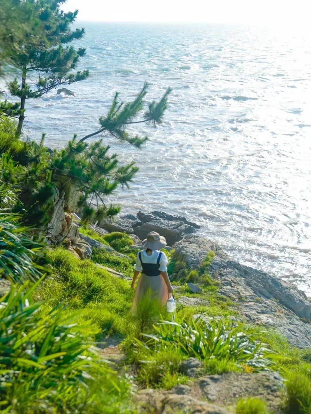 鹿西岛旅游攻略-鹿西岛自驾游(图39) 鹿西岛自驾游_鹿西岛旅游攻略_鹿西岛游记