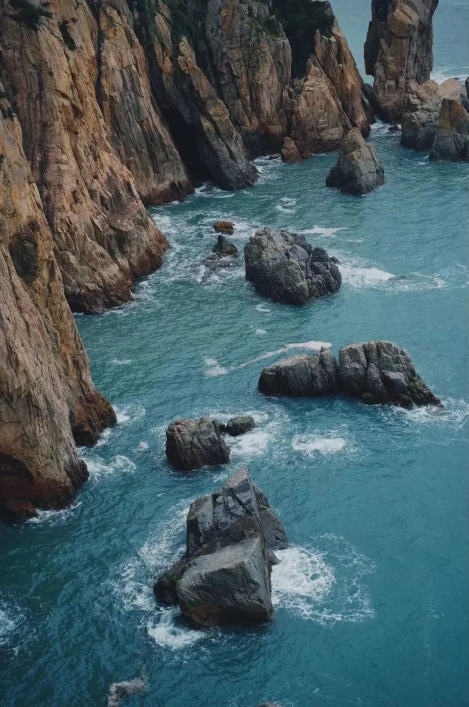 鹿西岛旅游攻略-鹿西岛自驾游(图49) 鹿西岛游记_鹿西岛自驾游_鹿西岛旅游攻略