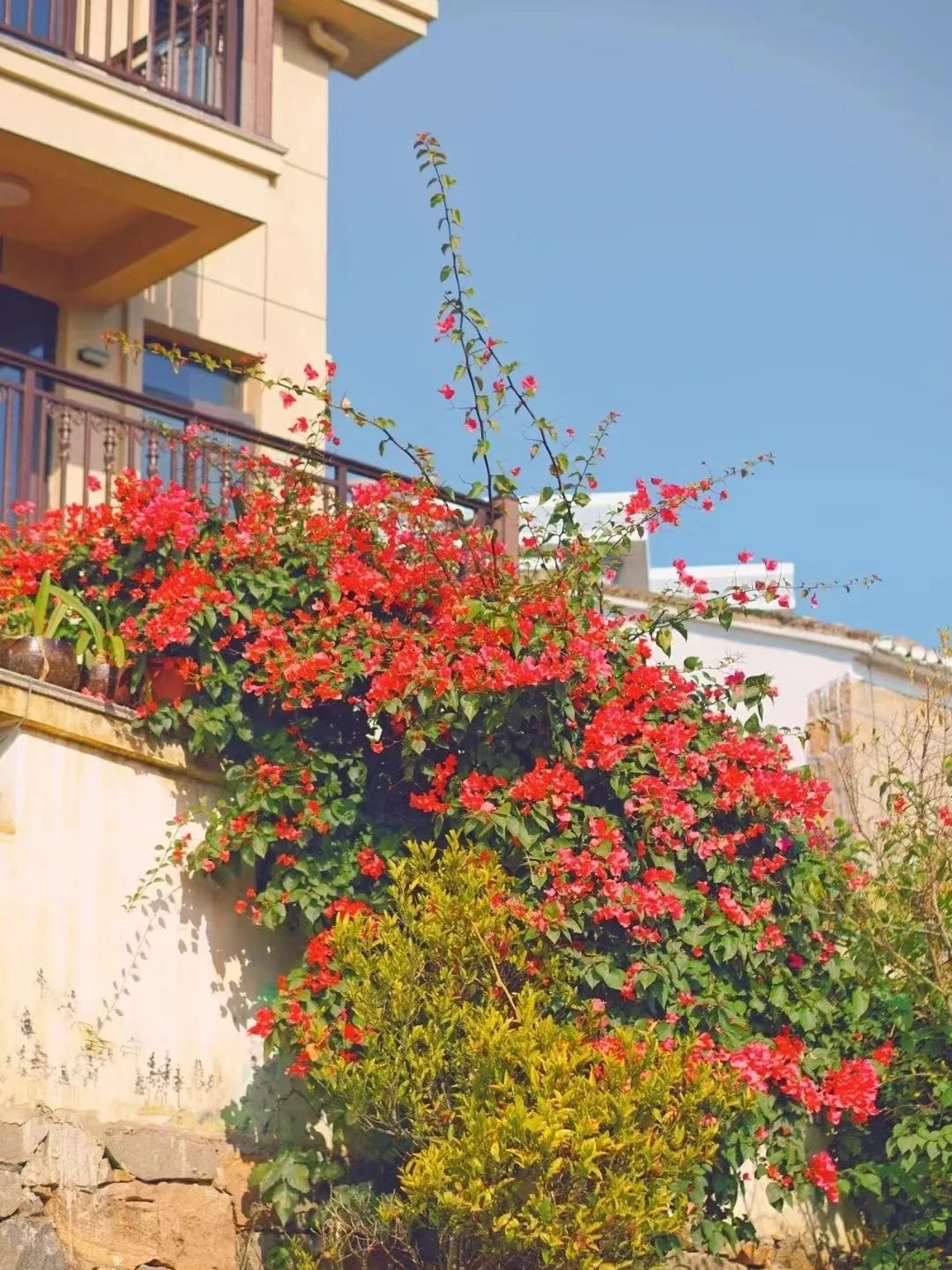 鹿西岛旅游攻略-鹿西岛自驾游(图58) 鹿西岛游记_鹿西岛自驾游_鹿西岛旅游攻略