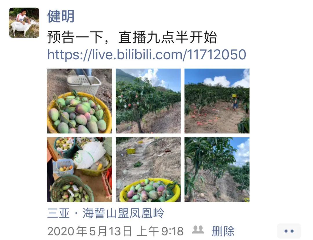 三亚呀诺达旅游攻略-三亚旅游景点呀诺达