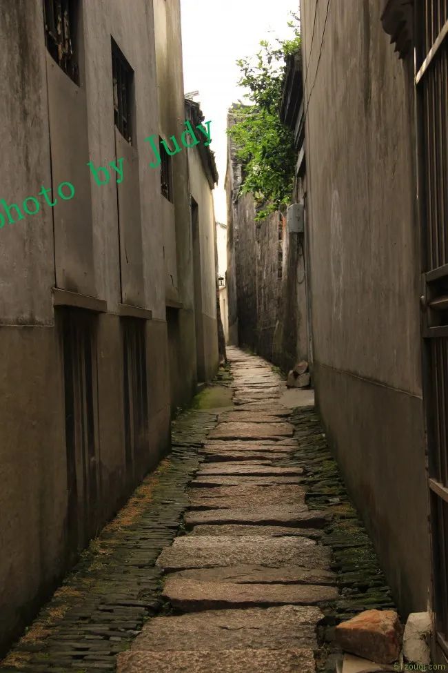 上海自由行5日旅游攻略-上海旅游攻略自助游攻略(图19) 上海自由行5日旅游攻略_上海旅游攻略自助游攻略_上海攻略旅游自由行路线