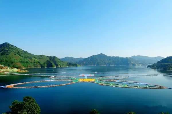 漓江涠洲岛旅游攻略-漓江景区旅游攻略(图27) 漓江景区旅游攻略_漓江小岛_漓江涠洲岛旅游攻略