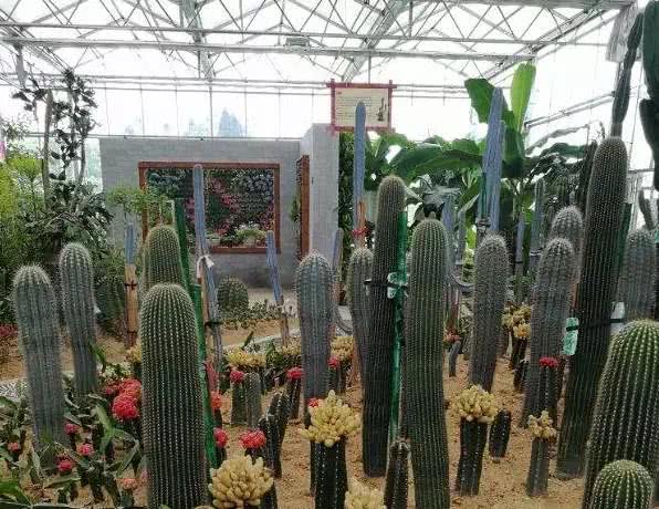 漓江涠洲岛旅游攻略-漓江景区旅游攻略(图30) 漓江小岛_漓江涠洲岛旅游攻略_漓江景区旅游攻略