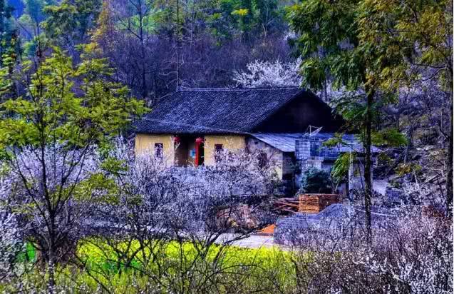 漓江涠洲岛旅游攻略-漓江景区旅游攻略(图31) 漓江涠洲岛旅游攻略_漓江景区旅游攻略_漓江小岛