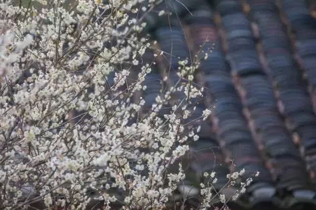 漓江涠洲岛旅游攻略-漓江景区旅游攻略(图32) 漓江景区旅游攻略_漓江小岛_漓江涠洲岛旅游攻略