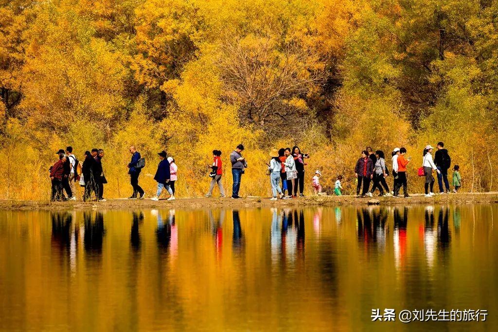 额济纳旗旅游攻略-额济纳旗自由行攻略(图2) 额济纳旗自由行攻略_额济纳旗旅游官方网站_额济纳旗旅游攻略