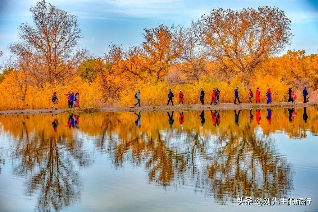 额济纳旗旅游攻略-额济纳旗自由行攻略(图5) 额济纳旗旅游攻略_额济纳旗自由行攻略_额济纳旗旅游官方网站