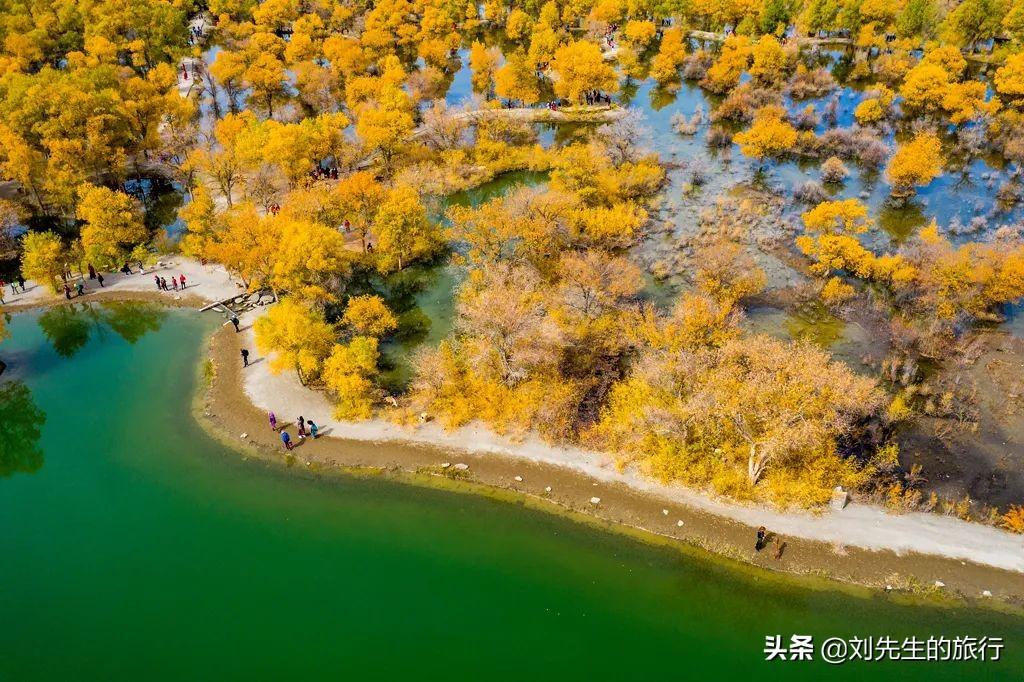 额济纳旗旅游攻略-额济纳旗自由行攻略(图7) 额济纳旗旅游攻略_额济纳旗旅游官方网站_额济纳旗自由行攻略