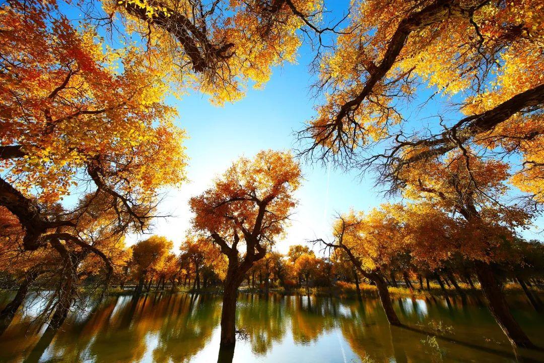 额济纳旗旅游攻略-额济纳旗自由行攻略(图9) 额济纳旗旅游攻略_额济纳旗自由行旅游攻略_额济纳旗自由行攻略