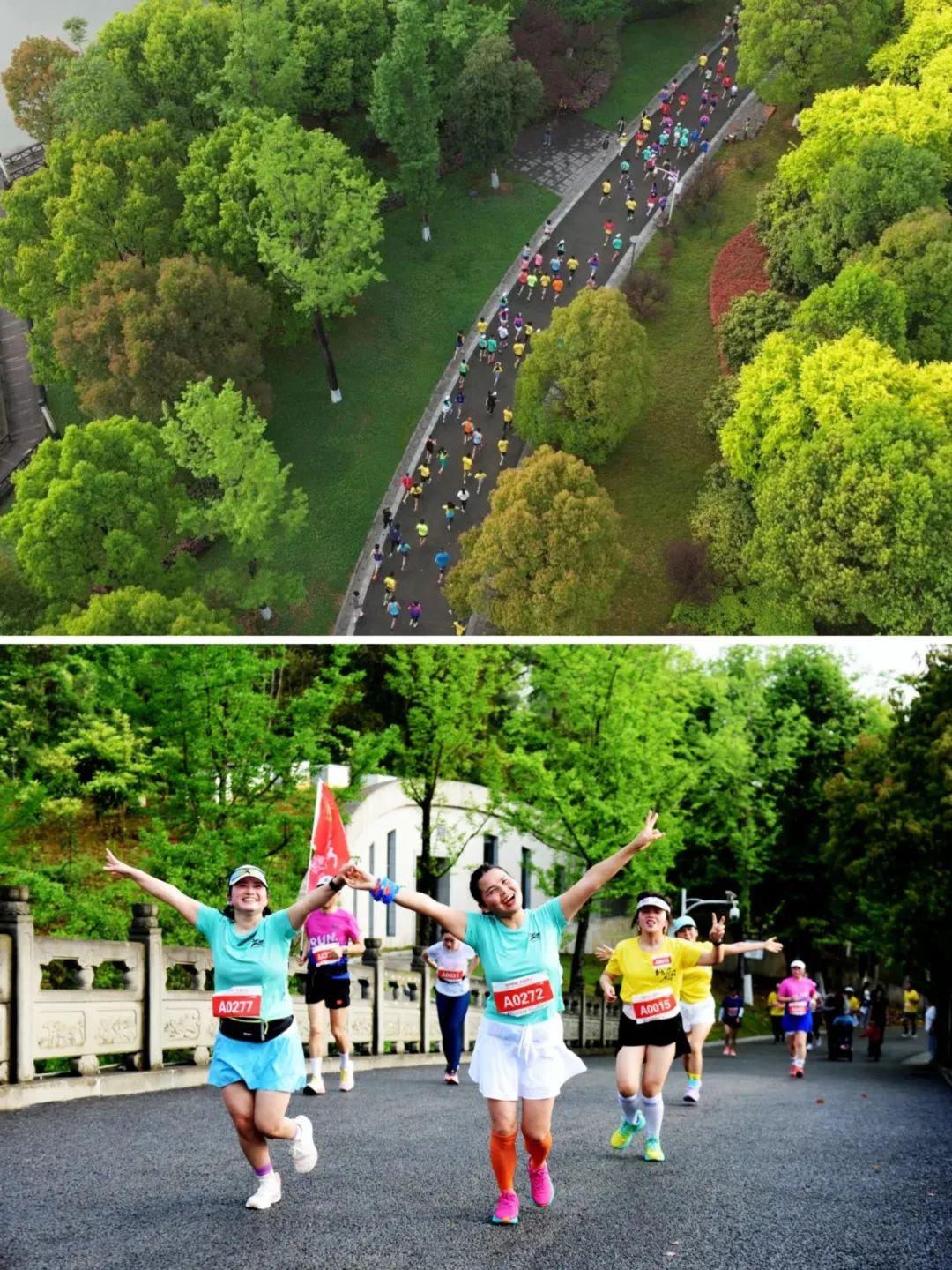 贵州遵义旅游攻略-贵州遵义攻略旅游景点推荐(图9) 贵州遵义旅游攻略_贵州遵义旅游攻略自由行_贵州遵义攻略旅游景点推荐