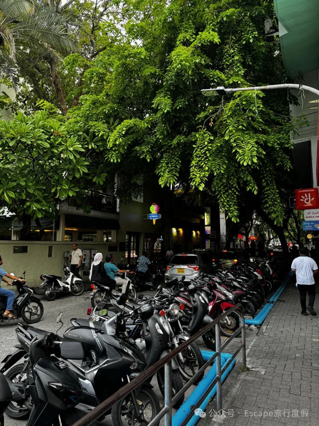 马尔代夫旅游攻略 注意事项_马尔代夫旅游攻略大概多少钱_马尔代夫旅游流程