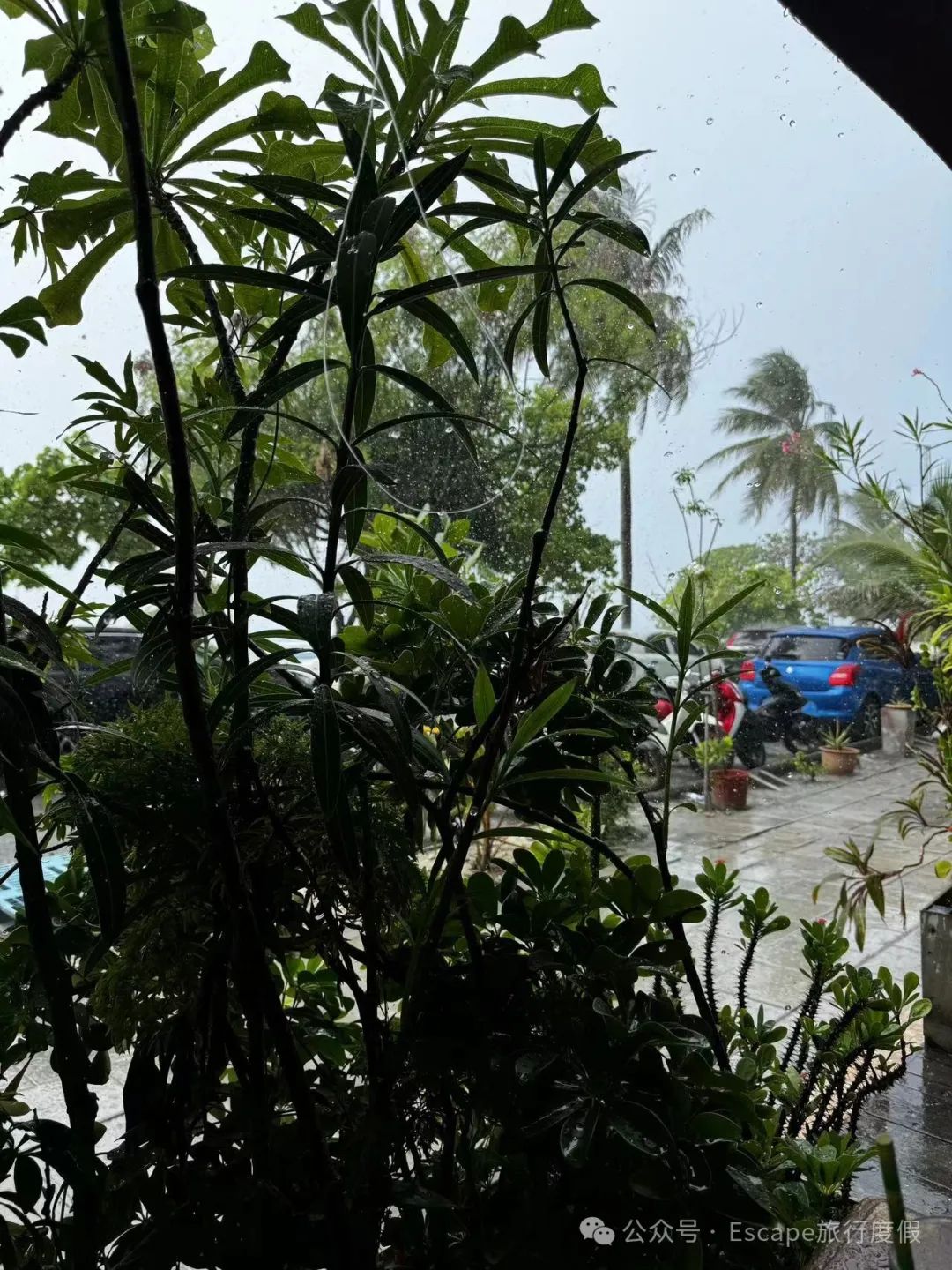 马尔代夫旅游流程_马尔代夫旅游攻略 注意事项_马尔代夫旅游攻略大概多少钱