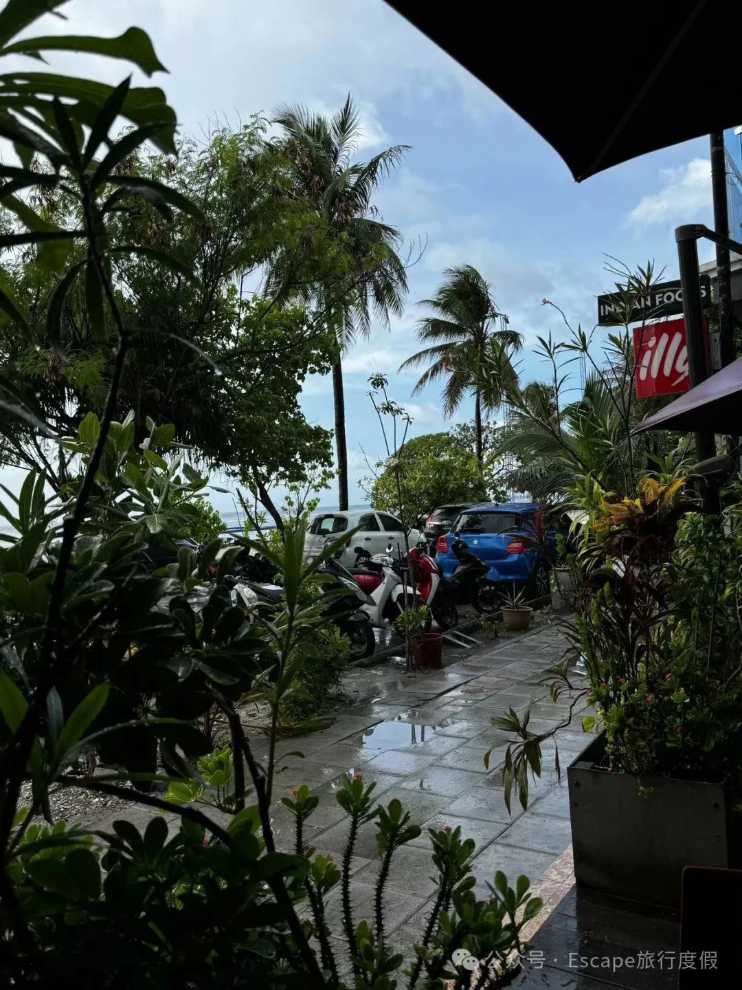 马尔代夫旅游攻略 注意事项_马尔代夫旅游攻略大概多少钱_马尔代夫旅游流程