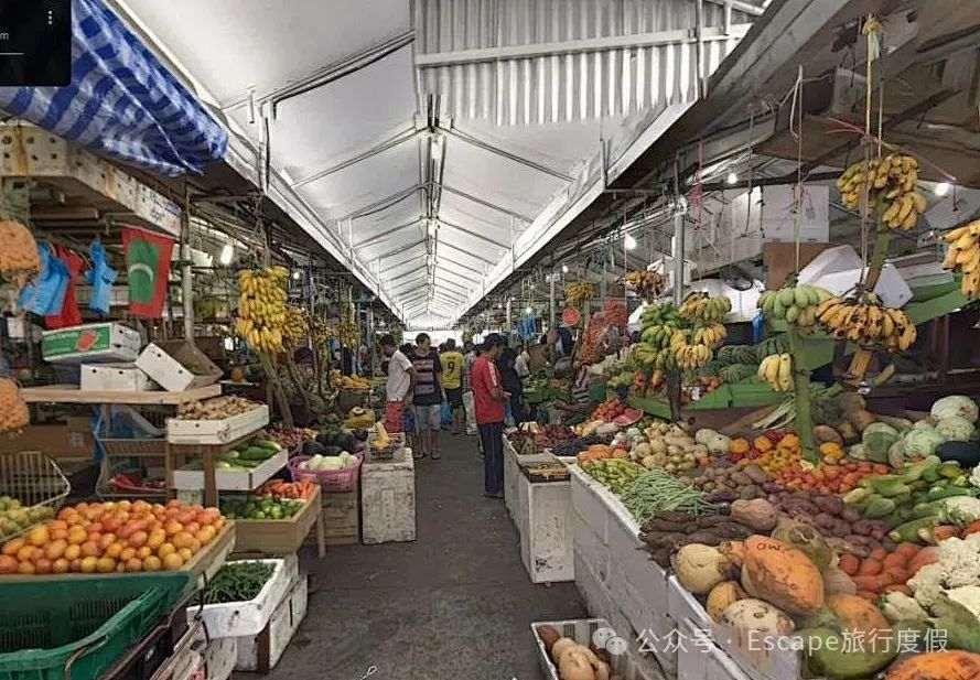 马尔代夫旅游流程_马尔代夫旅游攻略大概多少钱_马尔代夫旅游攻略 注意事项