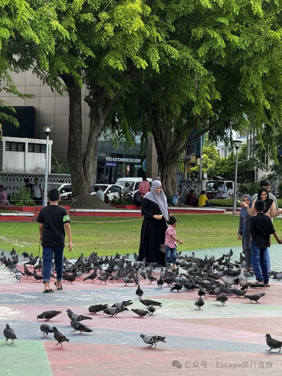 马尔代夫旅游攻略 注意事项_马尔代夫旅游攻略大概多少钱_马尔代夫旅游流程