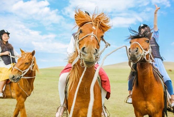 额济纳旗旅游攻略-额济纳旗旅游官方网站(图2) 额济纳旗旅游攻略_额济纳旗旅游官方网站_额济纳旗自由行攻略