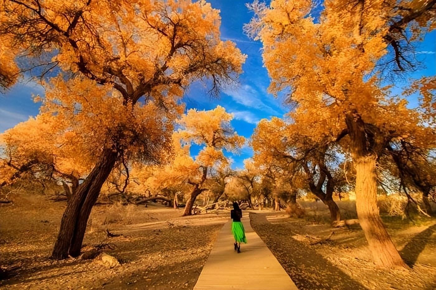 额济纳旗旅游攻略-额济纳旗旅游攻略必玩的景点(图3) 额济纳旗旅游官方网站_额济纳旗旅游攻略必玩的景点_额济纳旗旅游攻略