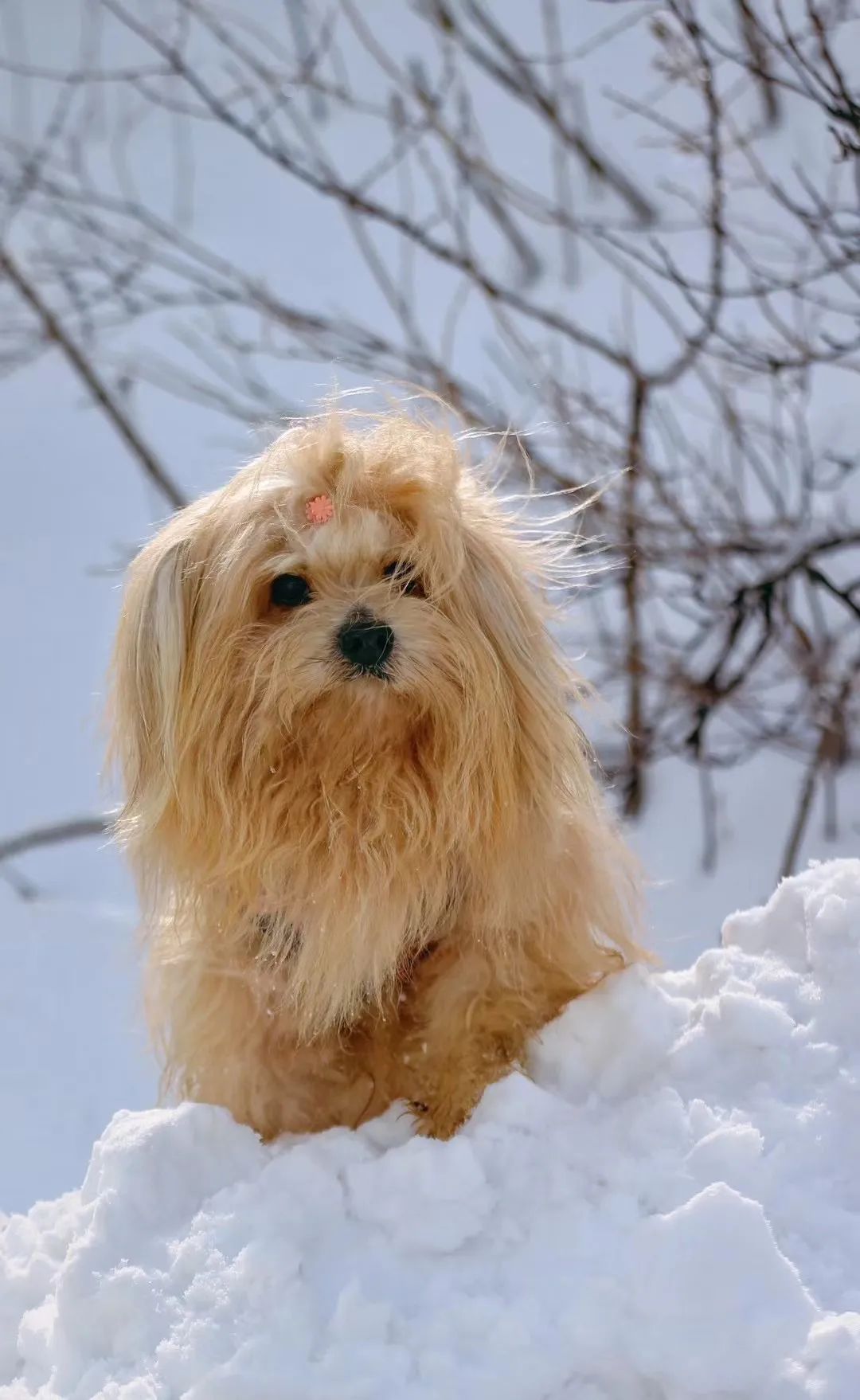 神龙架天生桥旅游攻略-神龙架介绍(图2) 神龙架天生桥旅游攻略_探秘神龙架_神龙架介绍
