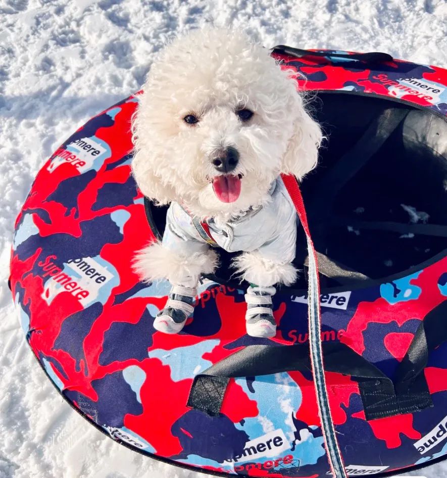 神龙架天生桥旅游攻略-神龙架介绍(图14) 探秘神龙架_神龙架介绍_神龙架天生桥旅游攻略