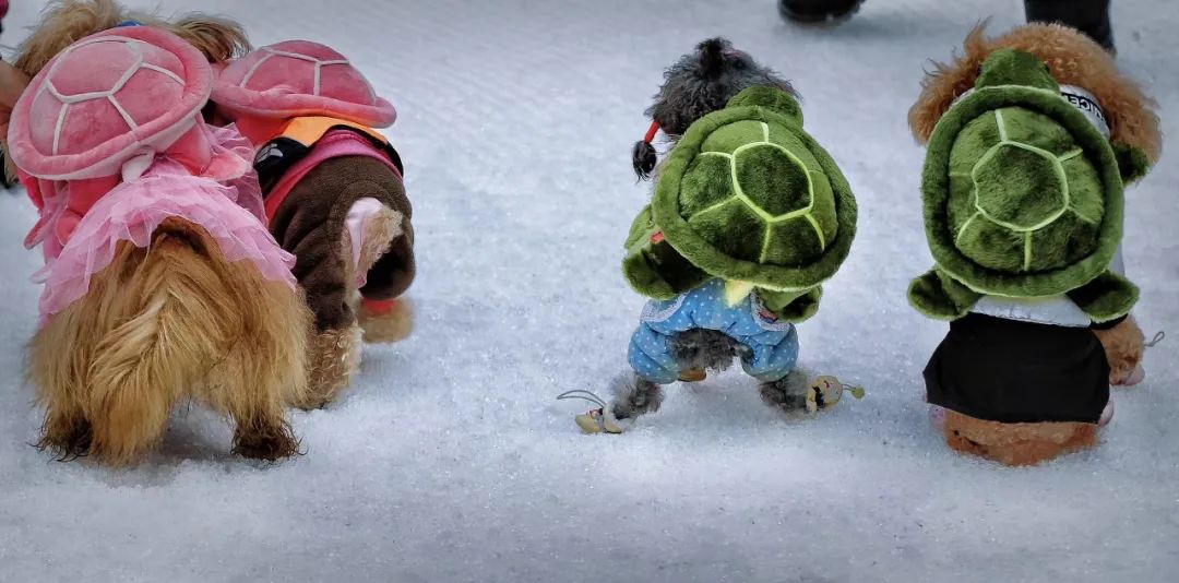 神龙架天生桥旅游攻略-神龙架介绍(图16) 探秘神龙架_神龙架天生桥旅游攻略_神龙架介绍