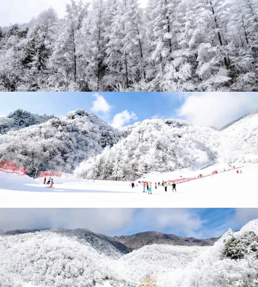 神龙架天生桥旅游攻略-神龙架介绍(图17) 探秘神龙架_神龙架天生桥旅游攻略_神龙架介绍