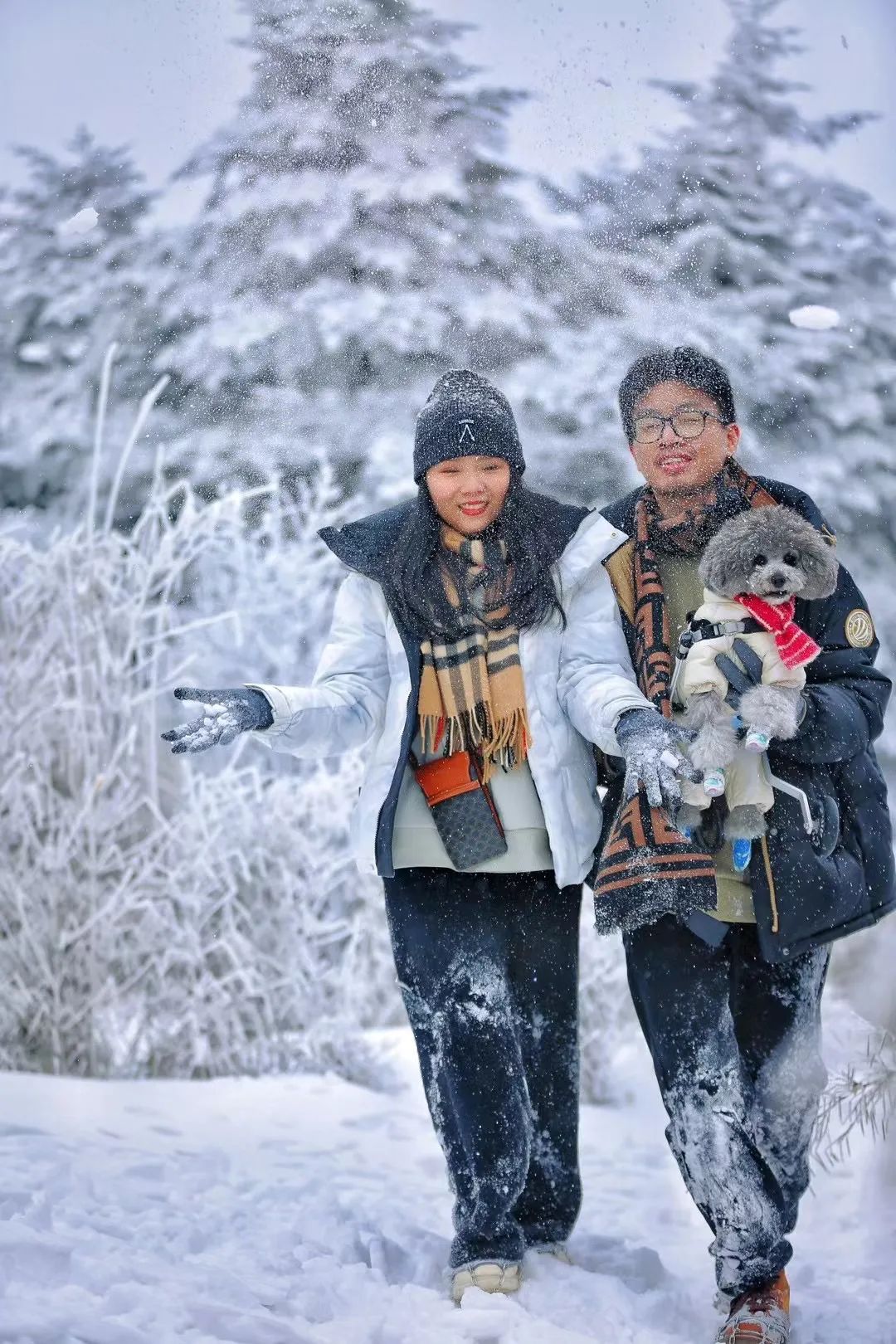 神龙架天生桥旅游攻略-神龙架介绍(图3) 探秘神龙架_神龙架介绍_神龙架天生桥旅游攻略