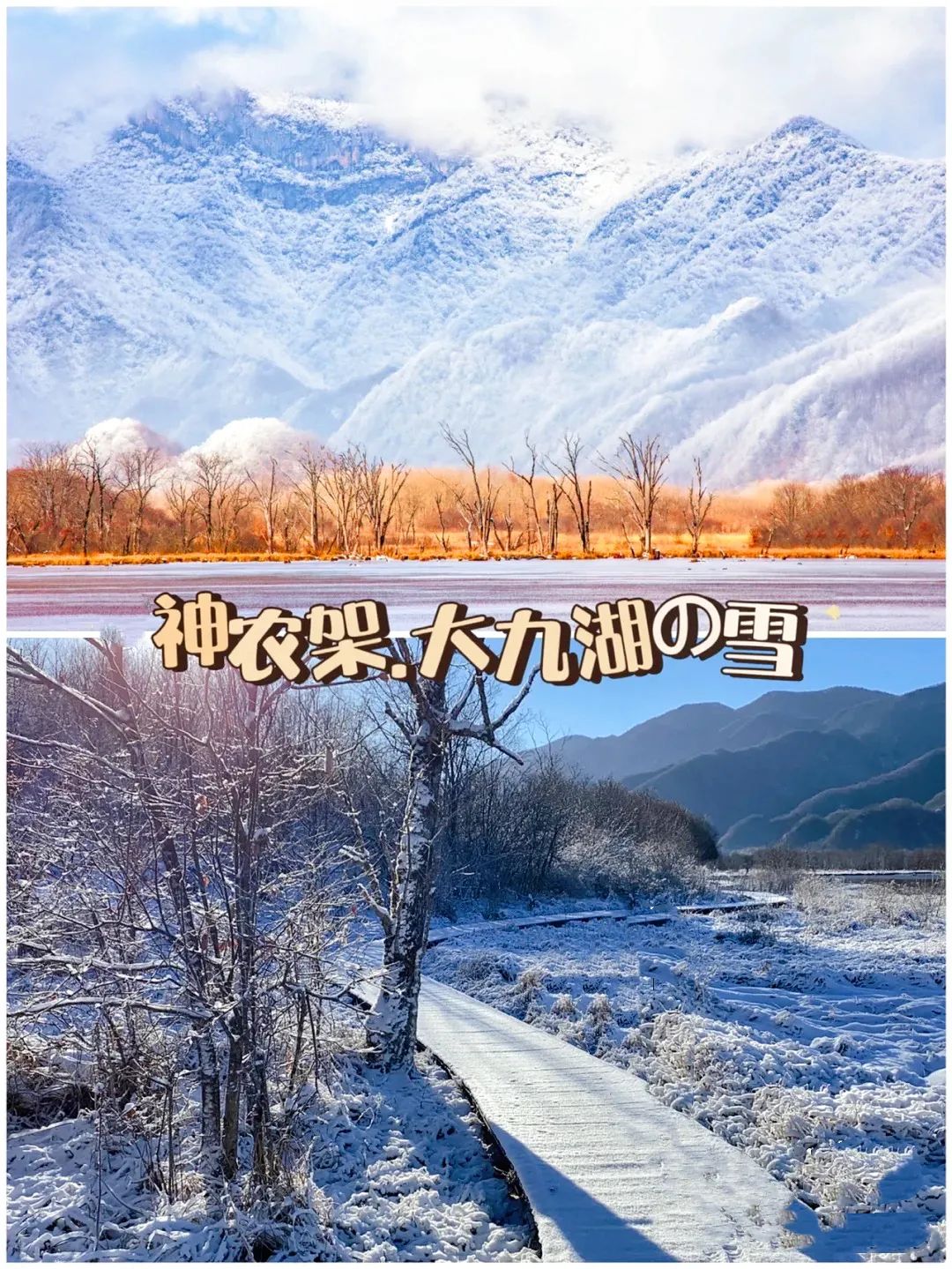 神龙架天生桥旅游攻略-神龙架介绍(图24) 神龙架天生桥旅游攻略_探秘神龙架_神龙架介绍