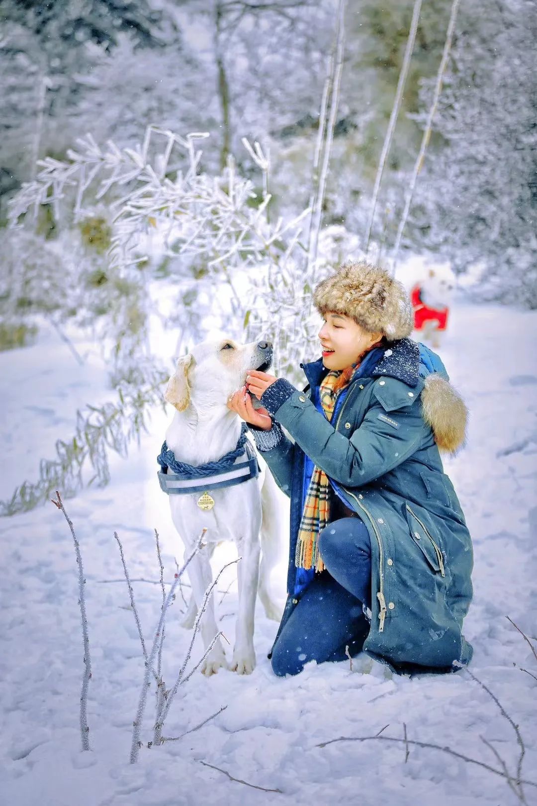 神龙架天生桥旅游攻略-神龙架介绍(图5) 神龙架天生桥旅游攻略_探秘神龙架_神龙架介绍