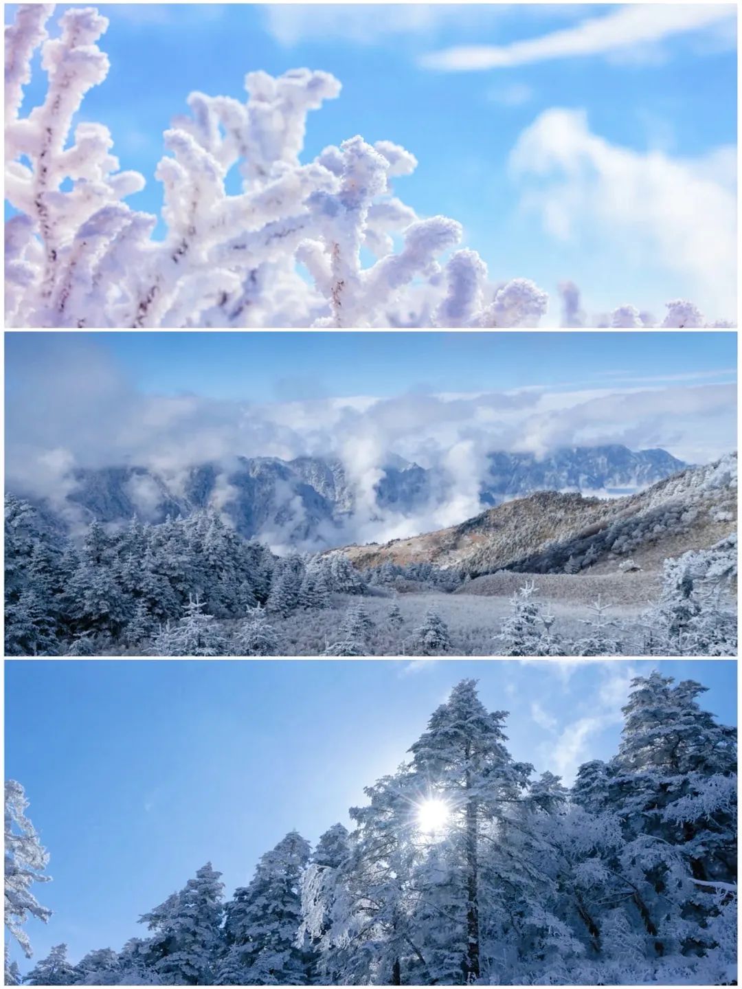 神龙架天生桥旅游攻略-神龙架介绍(图10) 神龙架介绍_神龙架天生桥旅游攻略_探秘神龙架