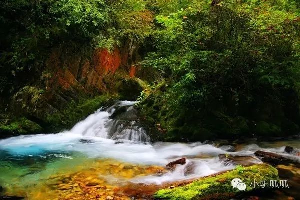 神龙架天生桥旅游攻略-神龙架在哪儿(图3) 神龙架天生桥旅游攻略_神龙架的景点介绍_神龙架在哪儿