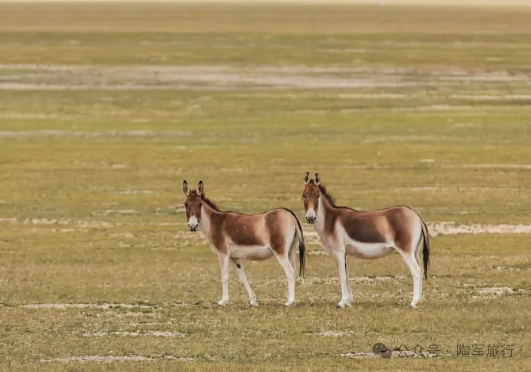 川藏线旅游小攻略-小川藏线好玩吗(图9) 小川藏线好玩吗_川藏线旅游小攻略_小川藏路线