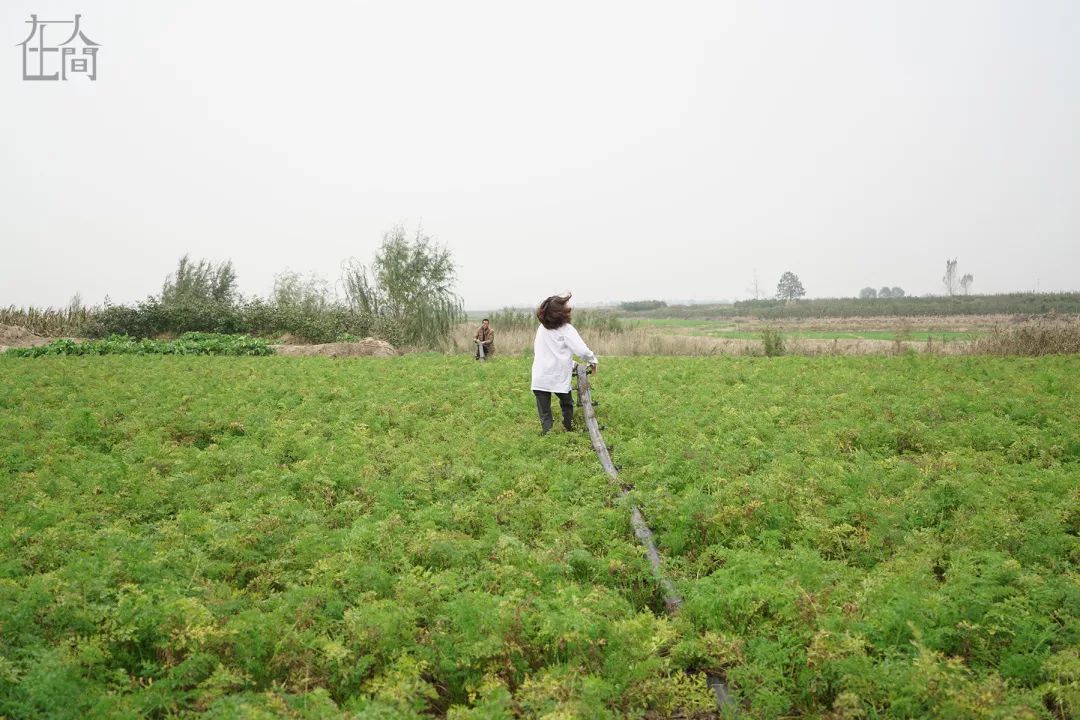 刘雯时尚写真图_刘雯时尚_刘雯模特造型图片大全