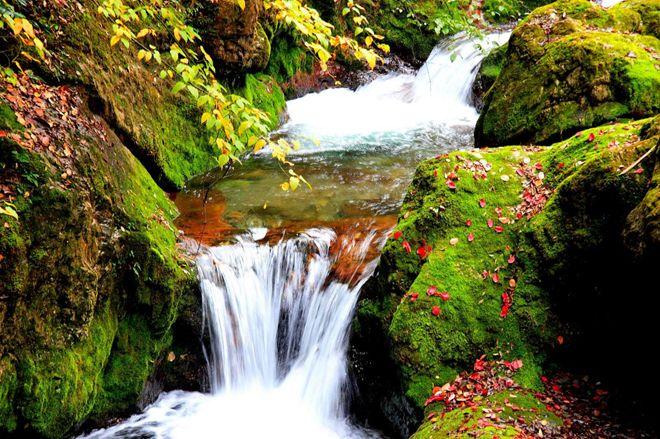 神农架武当山旅游攻略-湖北神农架武当山旅游攻略(图8) 神农架武当山旅游攻略_武当山神农架在湖北省哪里_湖北神农架武当山旅游攻略