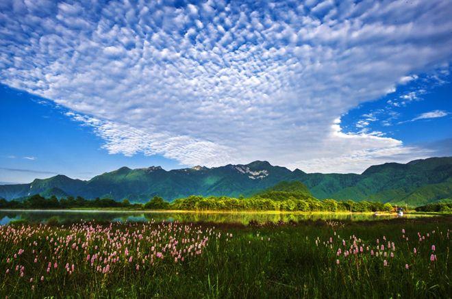 神农架武当山旅游攻略-湖北神农架武当山旅游攻略(图3) 湖北神农架武当山旅游攻略_武当山神农架在湖北省哪里_神农架武当山旅游攻略