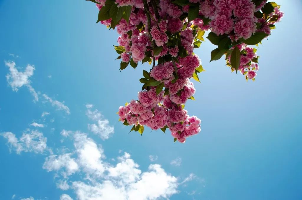 小川藏线游玩攻略_小川藏线游记_川藏线旅游小攻略