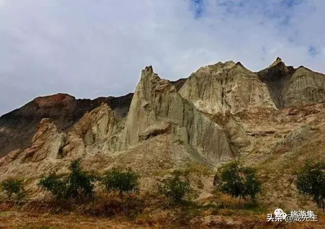 兰州到沙湖旅游攻略-兰州到沙湖自驾游攻略(图9) 兰州到沙湖怎么坐车_兰州到沙湖旅游攻略_兰州到沙湖自驾游攻略