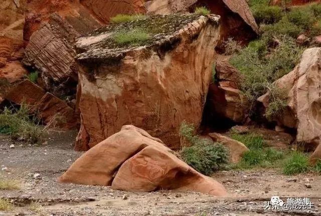 兰州到沙湖旅游攻略-兰州到沙湖自驾游攻略(图4) 兰州到沙湖自驾游攻略_兰州到沙湖怎么坐车_兰州到沙湖旅游攻略