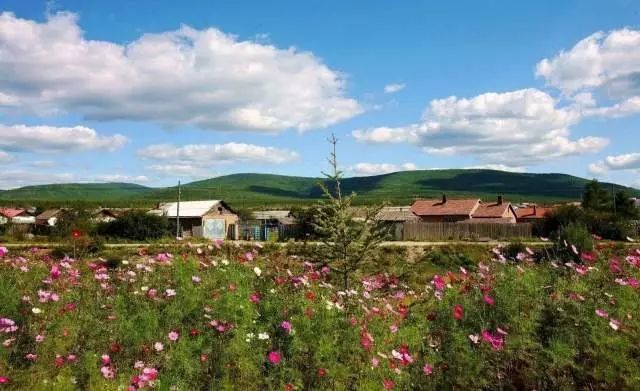 内蒙古攻略草原旅游线路_内蒙古草原旅游线路_内蒙古草原旅游攻略